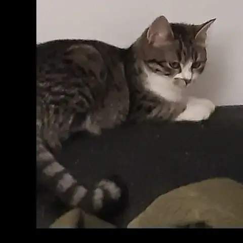 Pietra