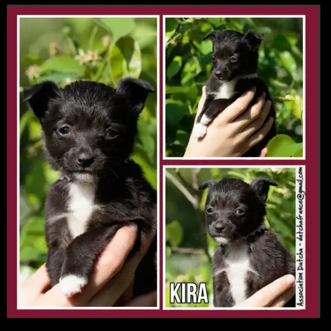 Kira