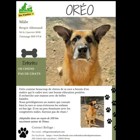 Oreo