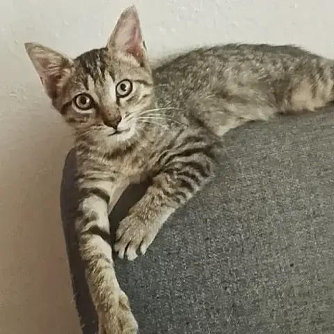Zoe photo 2