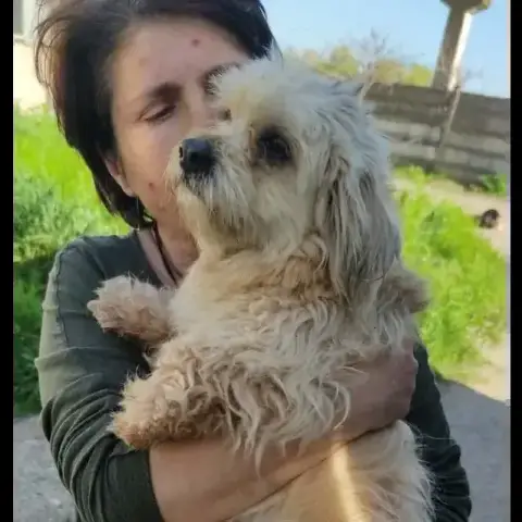 Taya Et Indie photo 3