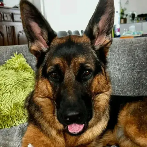 Vénus photo 2