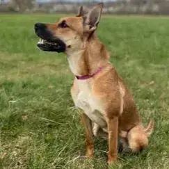 Nala photo 2