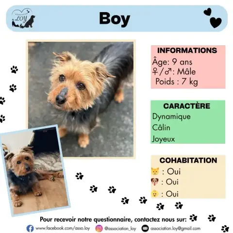Boy