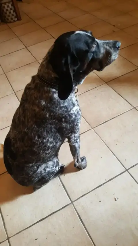 Sasha photo 2