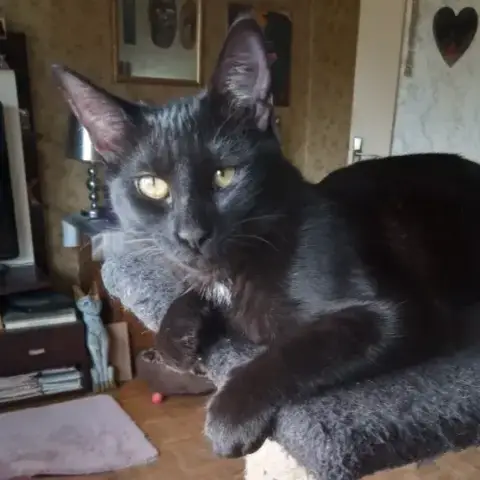 Nina