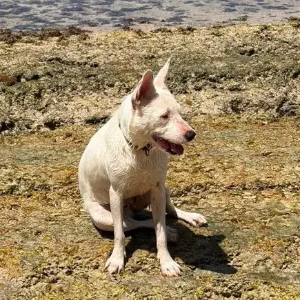 Lola photo 2