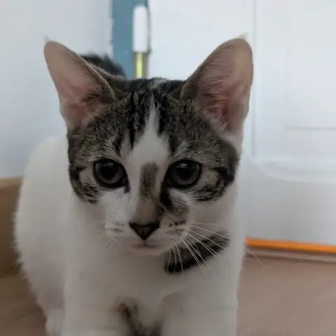 Zoé photo 2