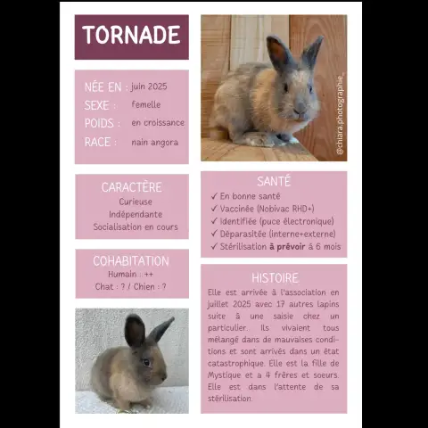 Tornade