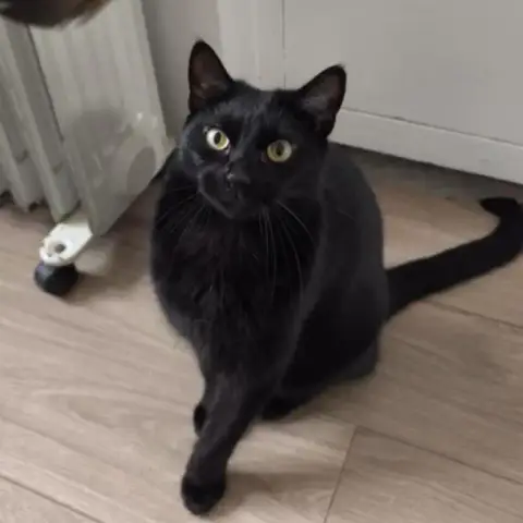 Moka