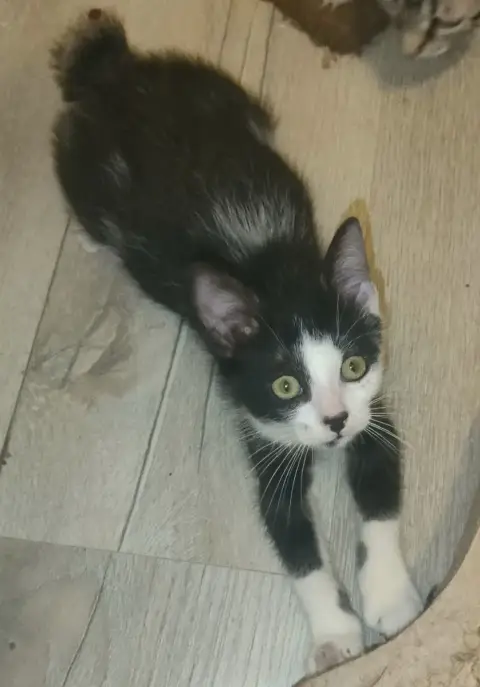 Tallula photo 3