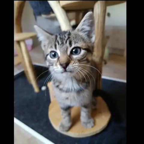 Billy