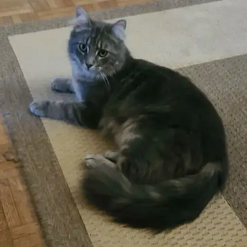 Prince