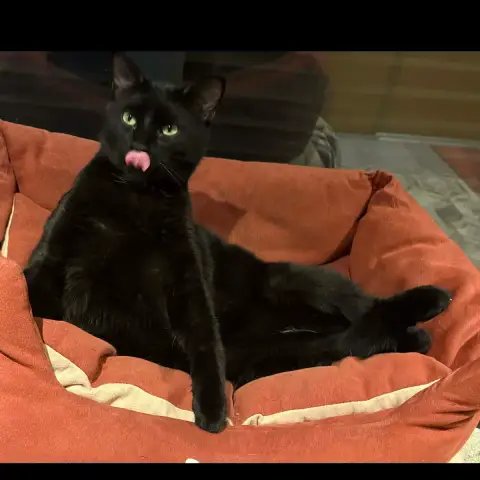 Arès