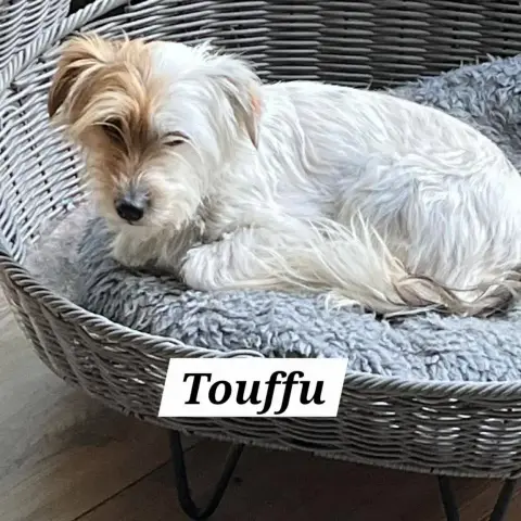 Touffu photo 2