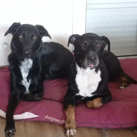 Sam photo 3