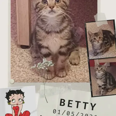 Betty photo 3