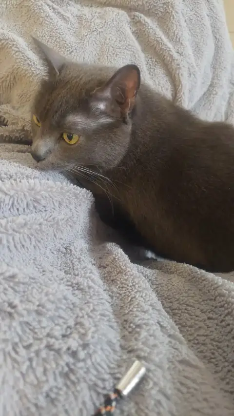 Hugo