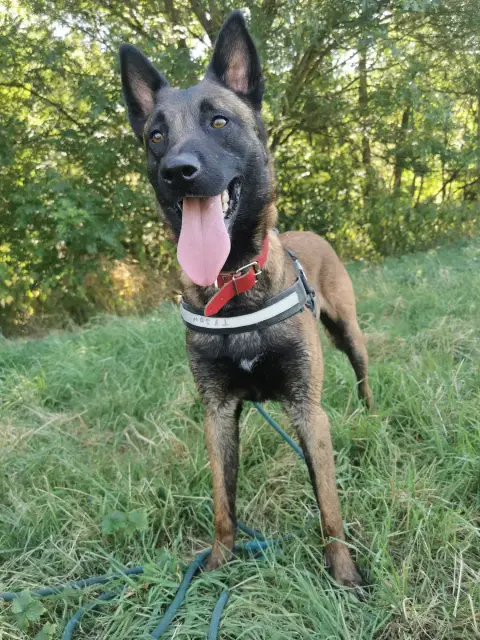 Tayson photo 2
