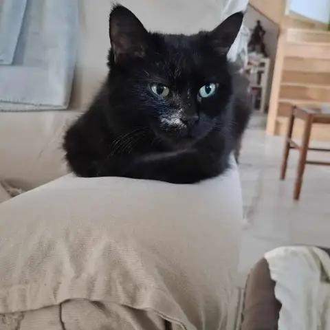 Luna photo 3