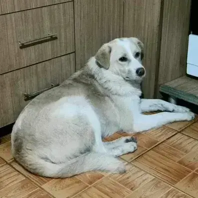 Blanco