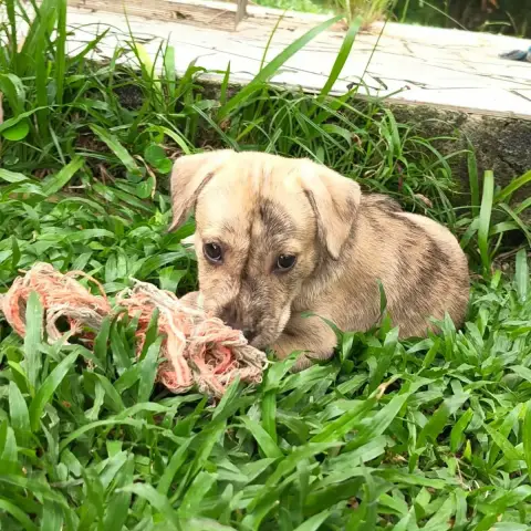Bijou photo 2
