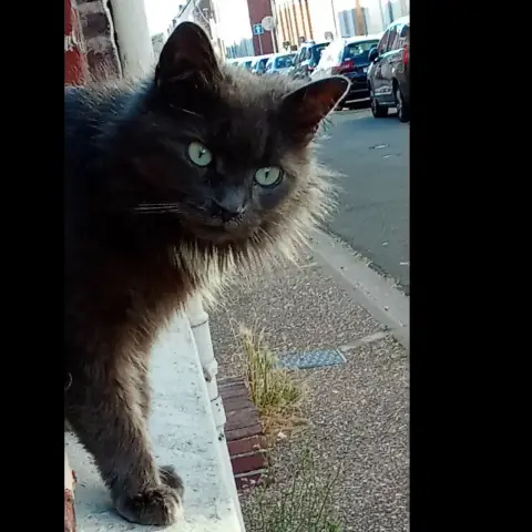 Beauté