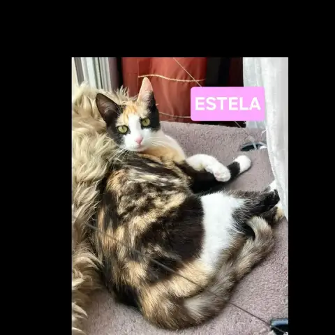Estela Et Ophelia photo 2