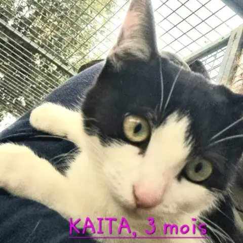 Kaïta