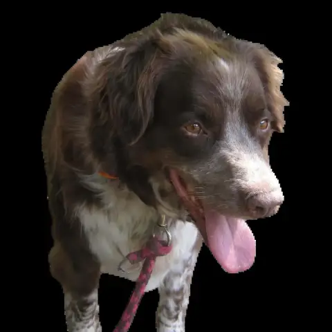 Marley