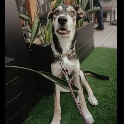 Lona photo 2