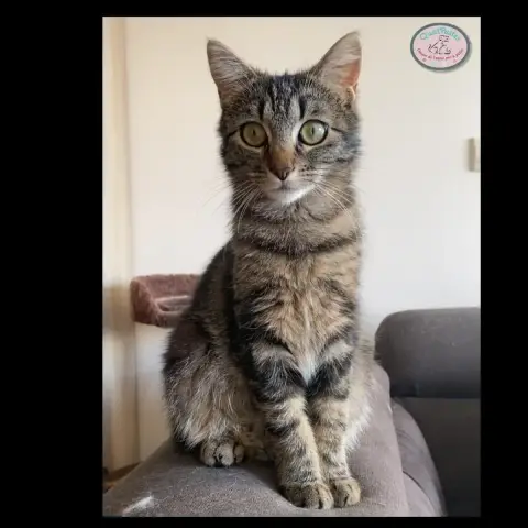 Lilou photo 3