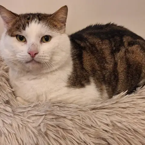 Felix photo 2