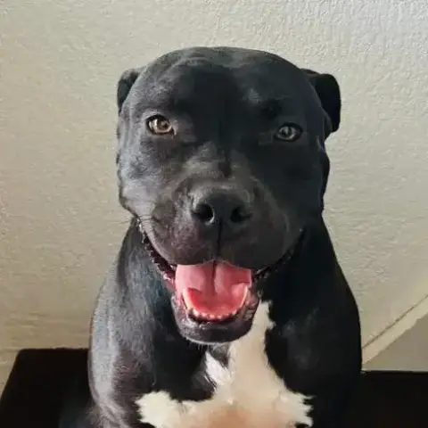 Xena photo 3