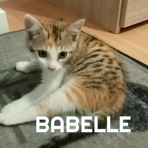 Babelle