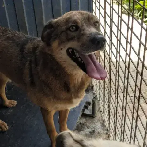 Bilbo