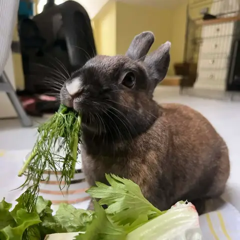 Judy photo 3