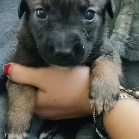 Olga