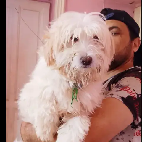 Tiby
