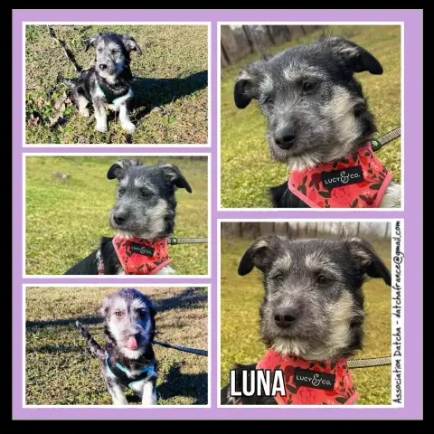 Luna