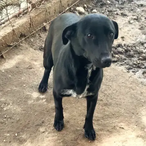 Nori
