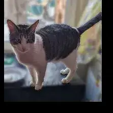 Bernard