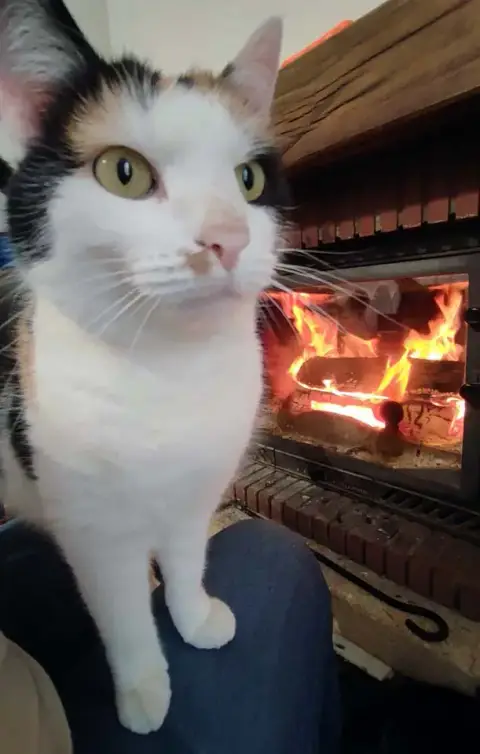Choupette photo 3