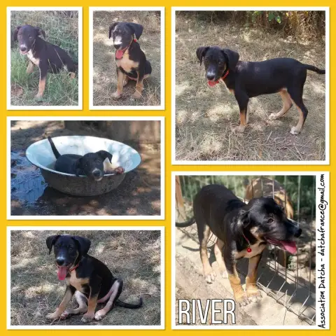 River