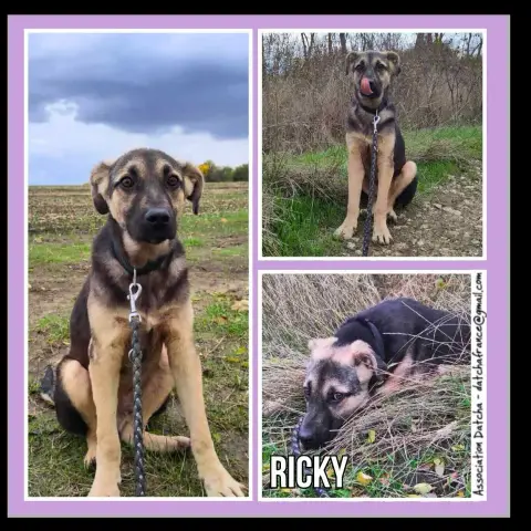 Ricky