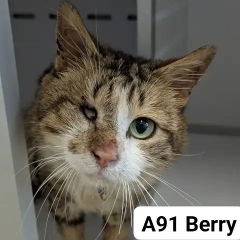 Berry