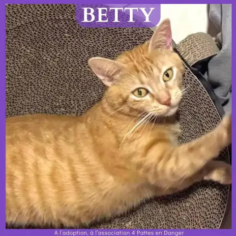 Betty