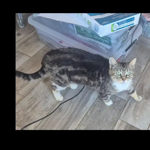 Bibi photo 3