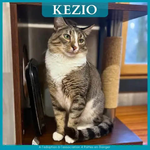 Kezio