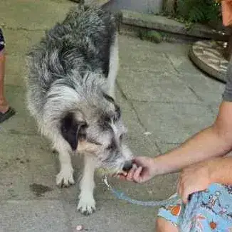 Bertie photo 2